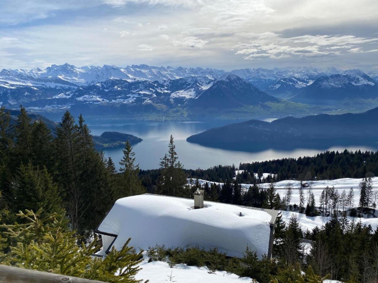 Chalet Oz Vitznau Eksteriør billede