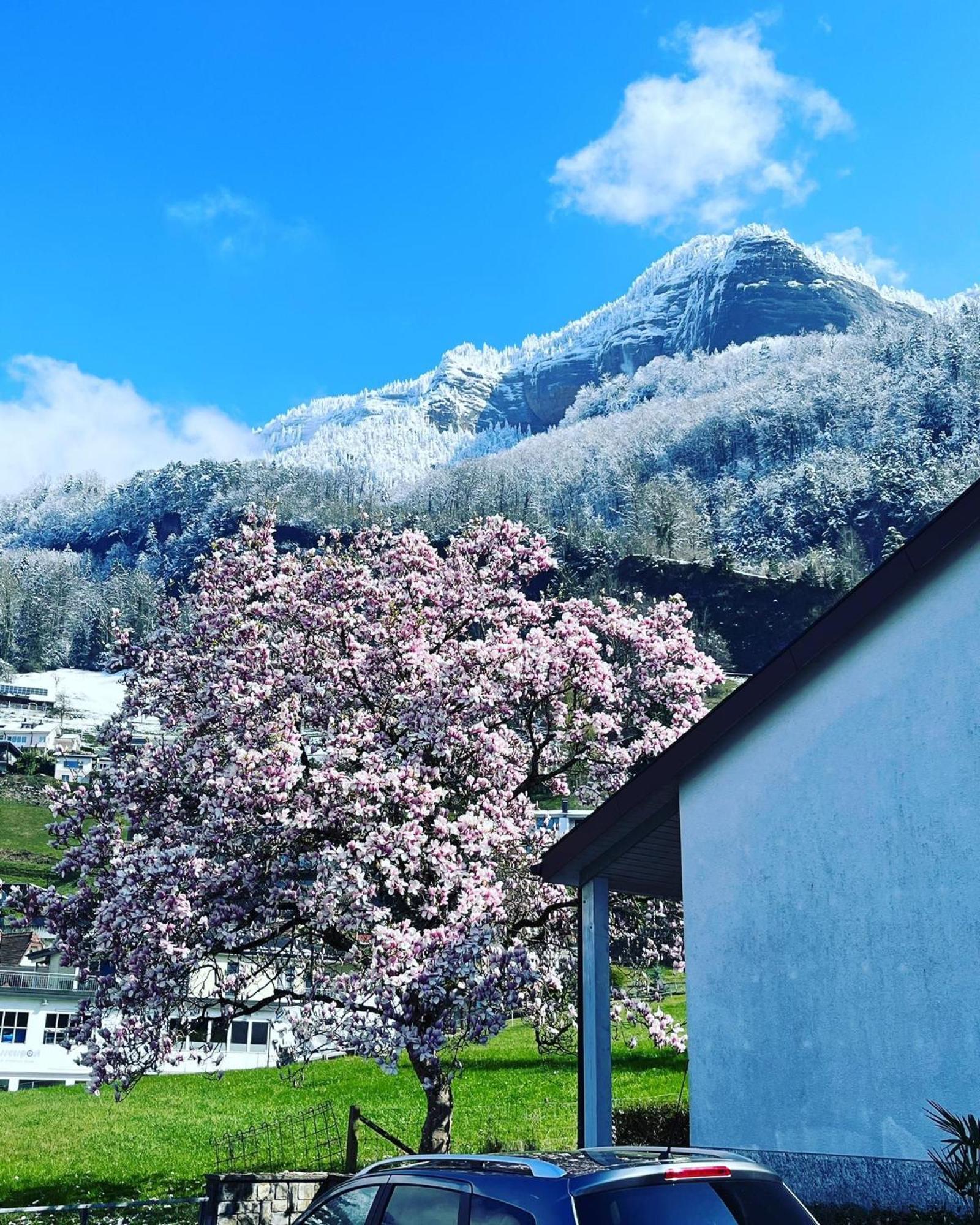 Chalet Oz Vitznau Eksteriør billede