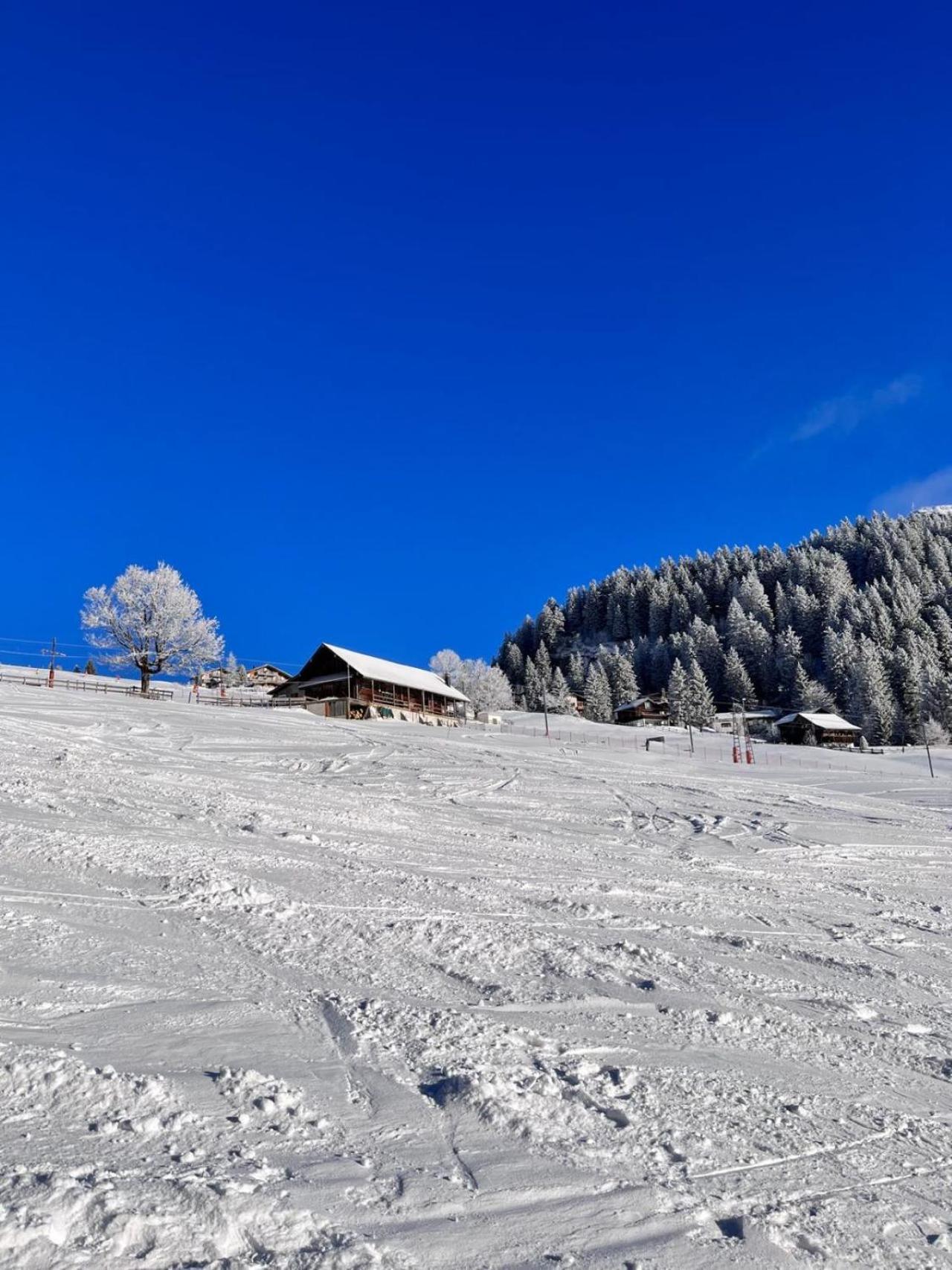 Chalet Oz Vitznau Eksteriør billede